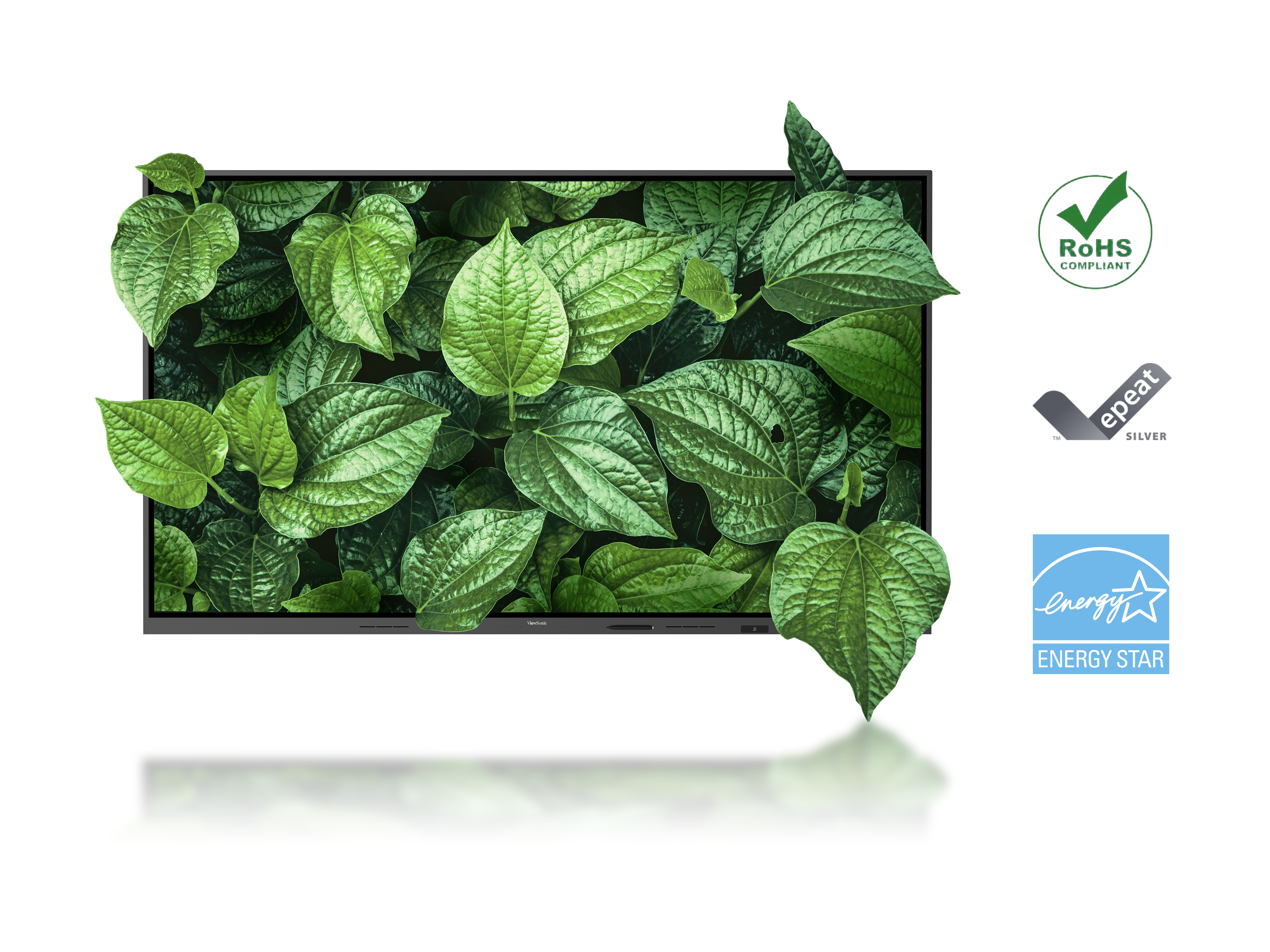 19 viewsonic interactive panel