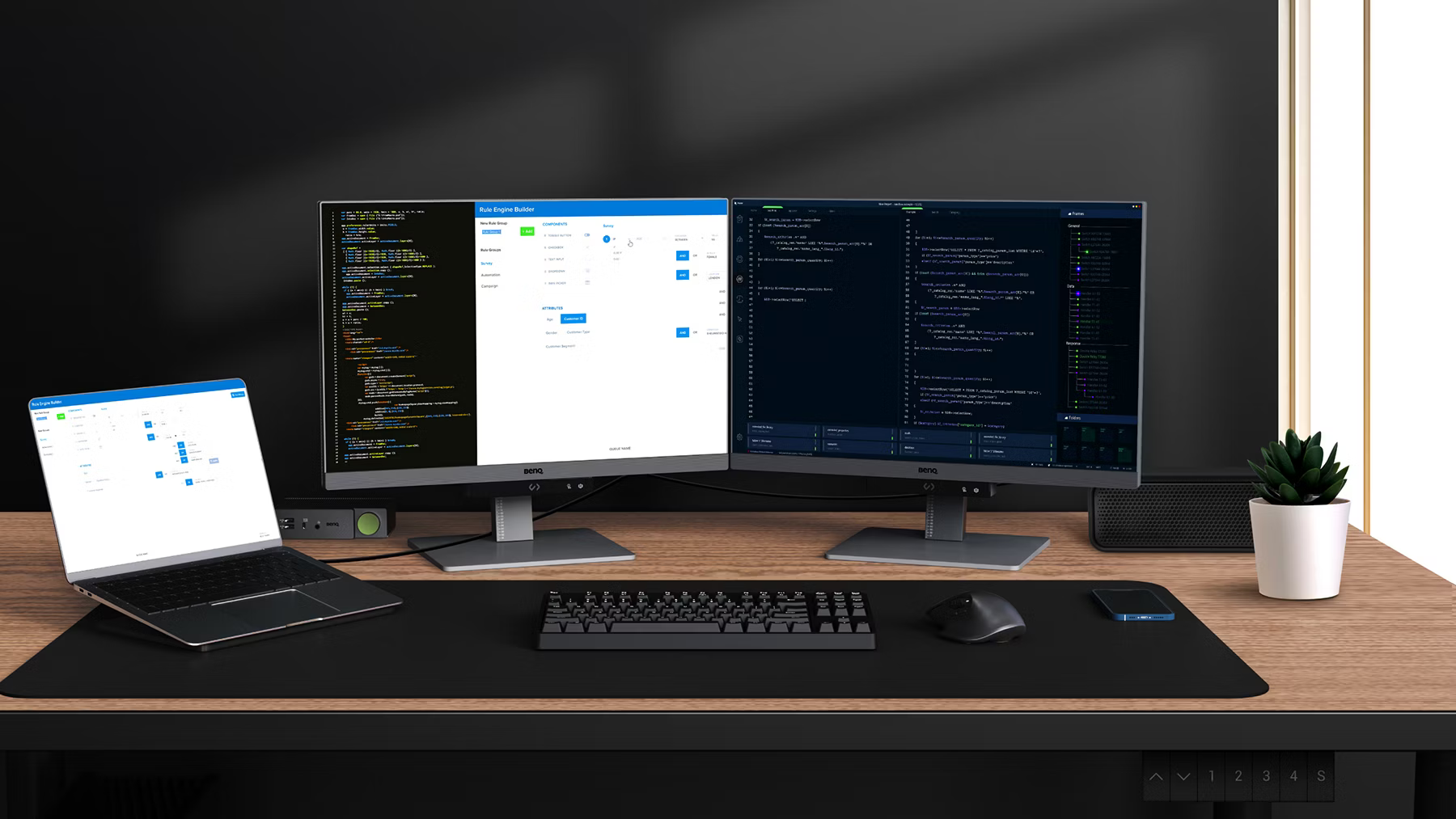 2 benq monitor rd240q