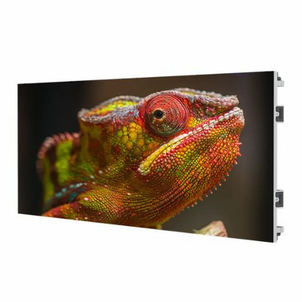 5 stage theater projector